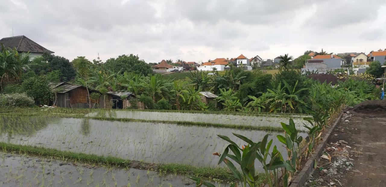 Pd Bali Guesthouse Canggu Eksteriør bilde