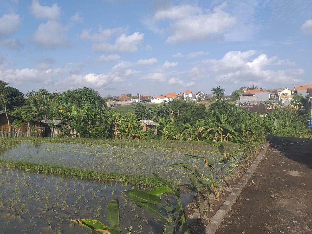 Pd Bali Guesthouse Canggu Eksteriør bilde
