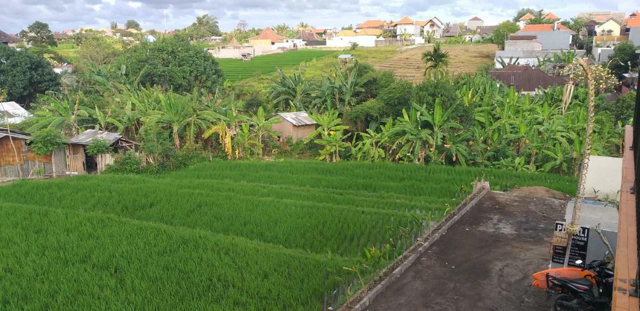 Pd Bali Guesthouse Canggu Eksteriør bilde